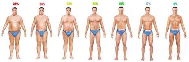 体脂肪図1